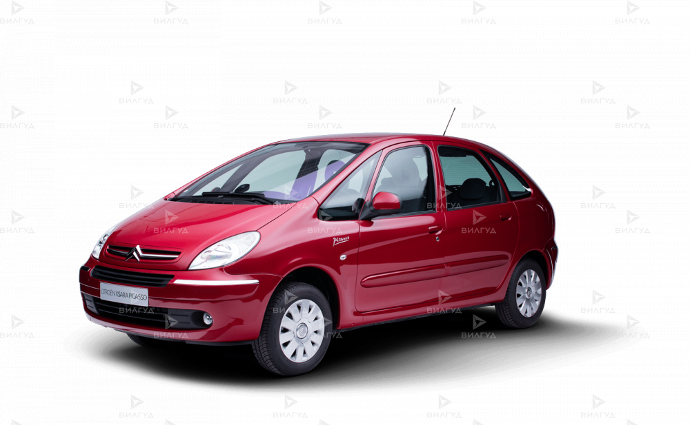 Диагностика Citroen Xsara в Новом Уренгое