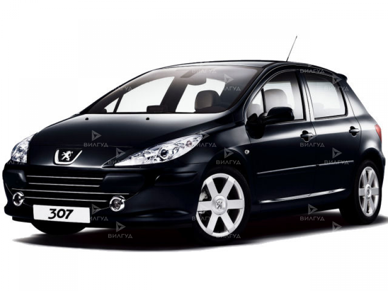 Диагностика Peugeot 307 в Новом Уренгое