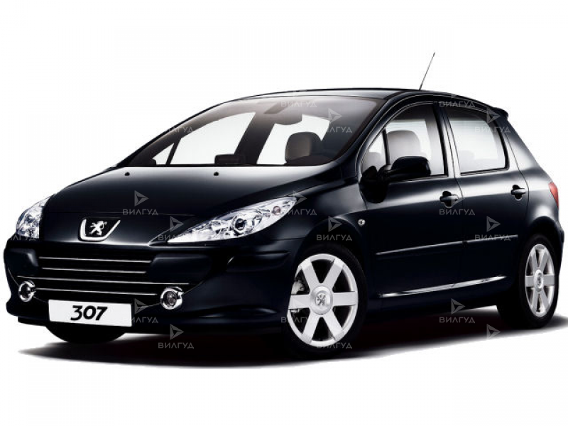 Диагностика двигателя Peugeot 307 в Новом Уренгое