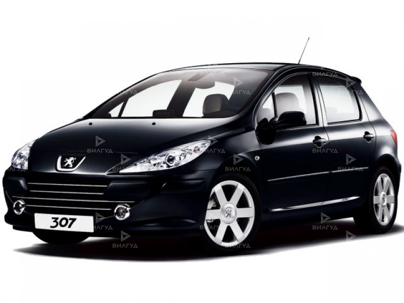 Замена датчика парковки Peugeot 307 в Новом Уренгое