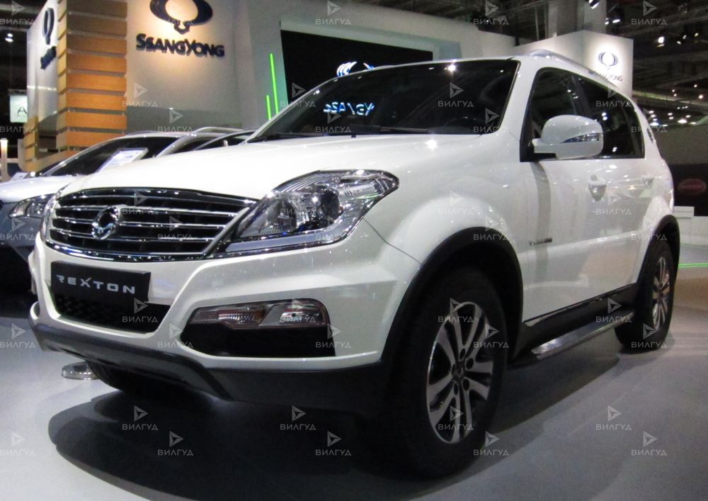 Замена ламп подсветки номера Ssangyong Rexton в Новом Уренгое