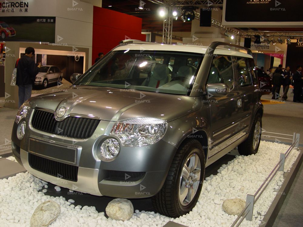 Диагностика цепи ГРМ Škoda Yeti в Новом Уренгое